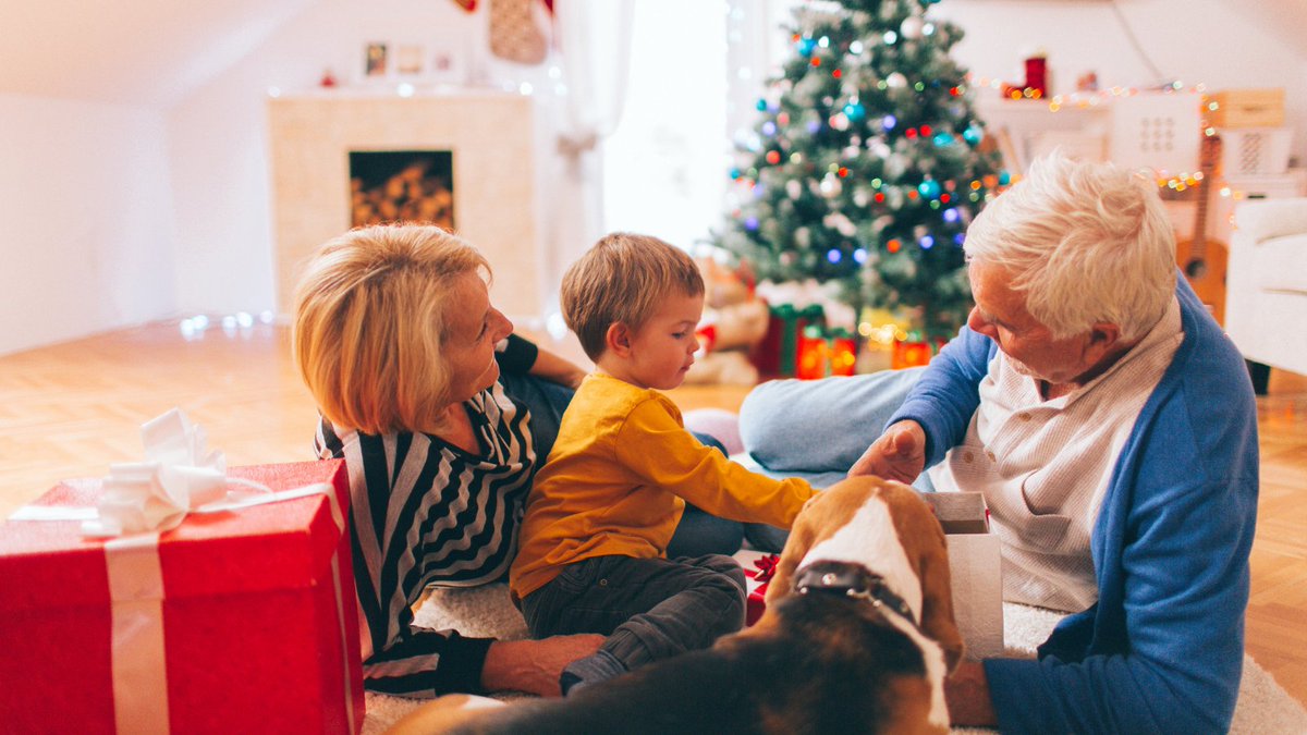 We have lots of great gifts for the home &amp; garden 🎁🎄
View Christmas gifts: 👉bit.ly/32ufiqM
#christmasgifts #housewares #diy #gardeners #homelovers