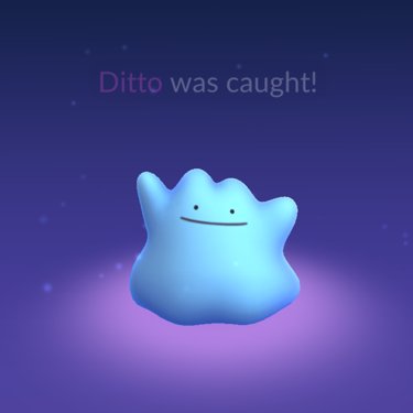 NightyGen's tweet photo. Okay, I rarely add Shiny from GO in here, but this one I have to share, because I still can't believe it! Today I got Shiny Ditto from my Daily Spawn (Teddiursa)! I didn't know it was possible, but I guess that makes it even better for me! ^^

#shiny #shinypokemon #PokemonGo https://t.co/j6akmiWJAD
