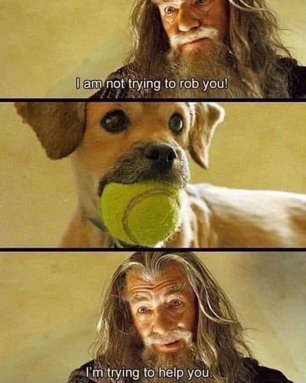 GraceeSara's tweet image. 