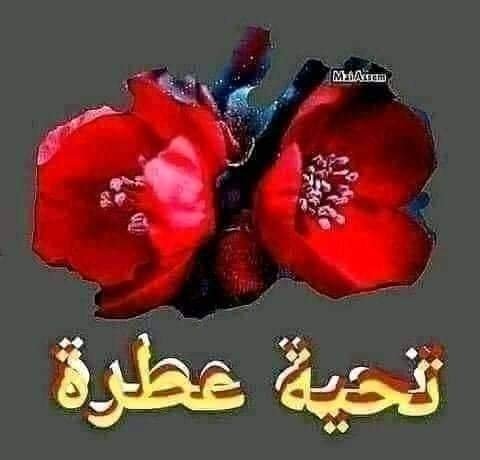 أحساس_شاعر اذكرونا بخير🖐🏻 tweet media