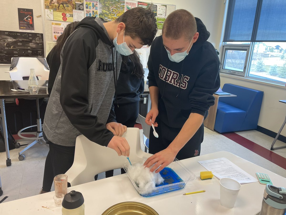mslisacorbett's tweet photo. Students working their way through the most disastrous of cities!! @RundleJrHigh #becurious #bewell #adventuresinSTEM #disastercity @Ms_Millette https://t.co/u0gfQFlYOl