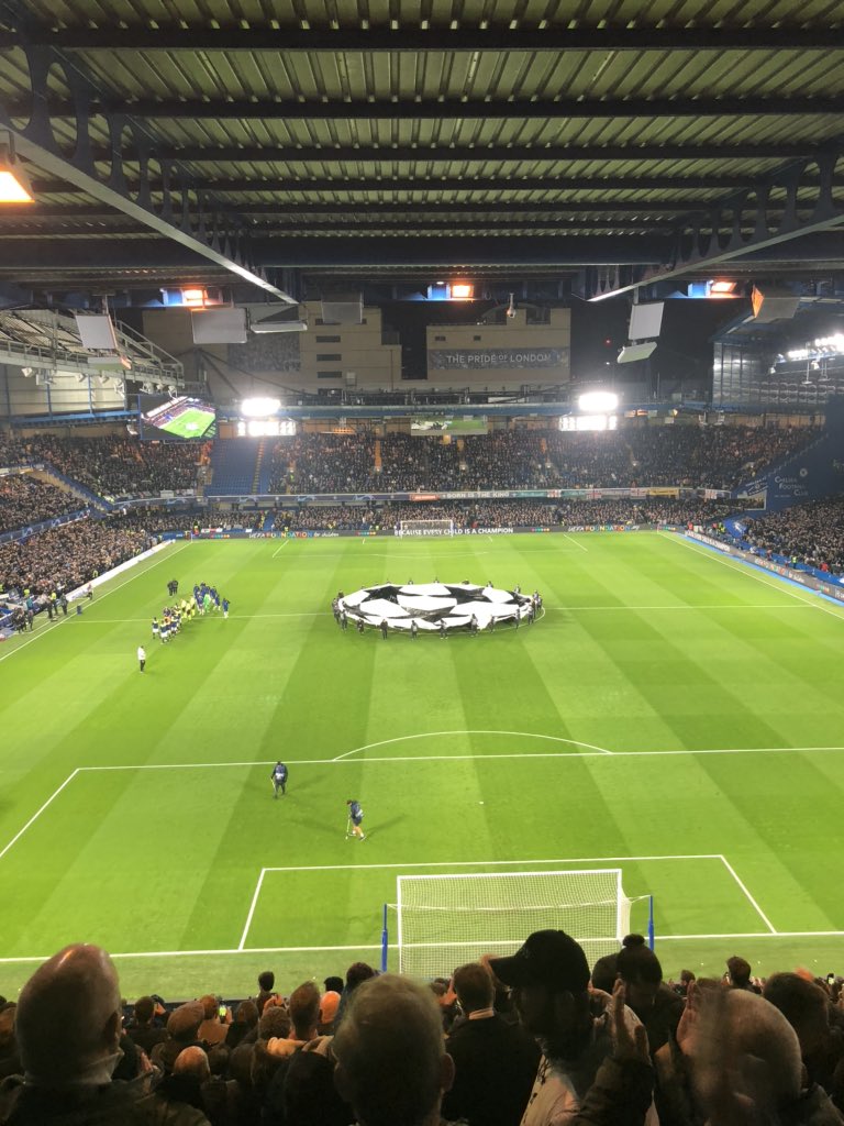 🦁🔵