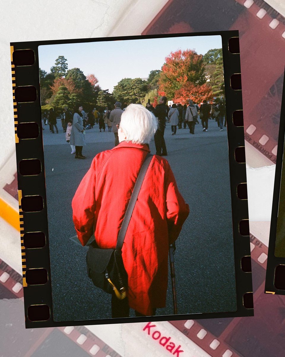Havenotats's tweet photo. Snaps from Tokyo 🎞 #tokyofilm #contaxt2 #portra400 https://t.co/6pQhumsJow