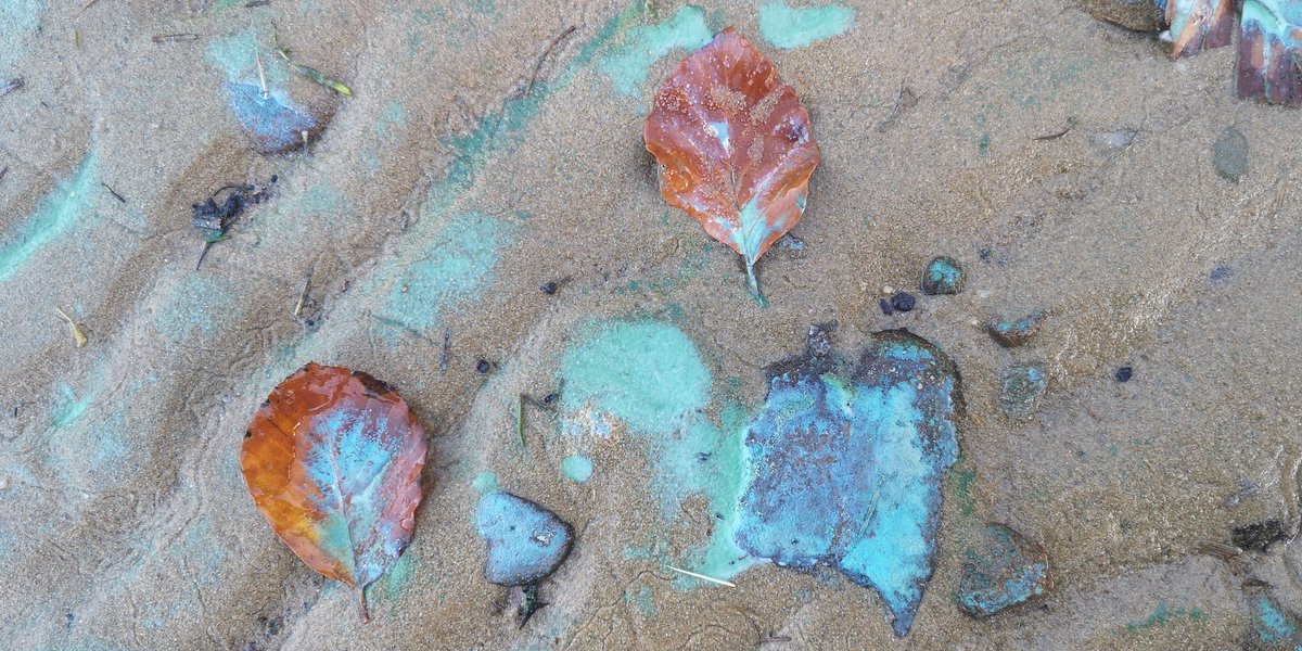 AghadoeDist's tweet photo. On shoreline of Muckross Lake in Killarney NP today. Perhaps a cyanobacteria scum? If so, could be toxic. Beautiful colours though. https://t.co/Sa9R9nJkEk