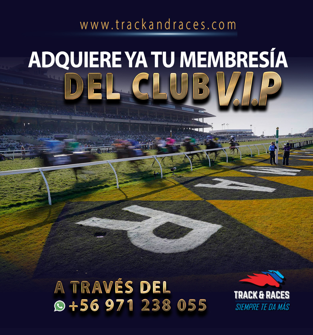 track_races's tweet photo. Recibe material de pronósticos, programas diarios además de promociones exclusivas, bonos y concursos, uniéndote a nuestro exclusivo club V.I.P. 😎😎 a través del +56 971 238 055
#clubvip #clubtrackandraces #membresia #trackandraces
#clubexclusivo https://t.co/nA0TDUJ2Kc