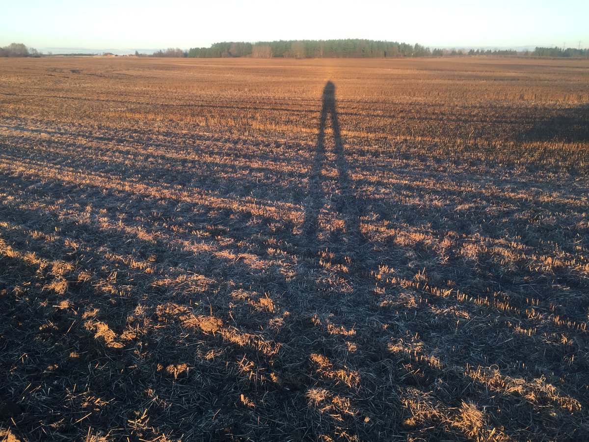 jcurtis7ac's tweet photo. Look how Long I am !! ๐๐๐ #longandlean https://t.co/gHVlDcd3vl