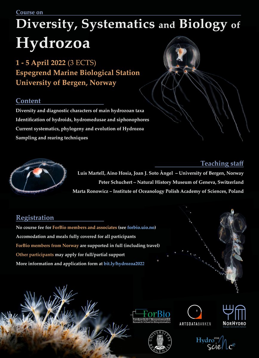 Luis Martell (@luisfmartell) on Twitter photo Our course on diversity, systematics, and biology of Hydrozoa is finally happening next spring!
Apply at bit.ly/hydrozoa2022 and come join us for a Norwegian week of jellies and polyps organized by @Artsdatabanken project #NorHydro, #ForBio, and <a href="/NHMuseum_Bergen/">NaturalHistoryMuseum</a> Our course on diversity, systematics, and biology of Hydrozoa is finally happening next spring!
Apply at bit.ly/hydrozoa2022 and come join us for a Norwegian week of jellies and polyps organized by @Artsdatabanken project #NorHydro, #ForBio, and <a href="/NHMuseum_Bergen/">NaturalHistoryMuseum</a>