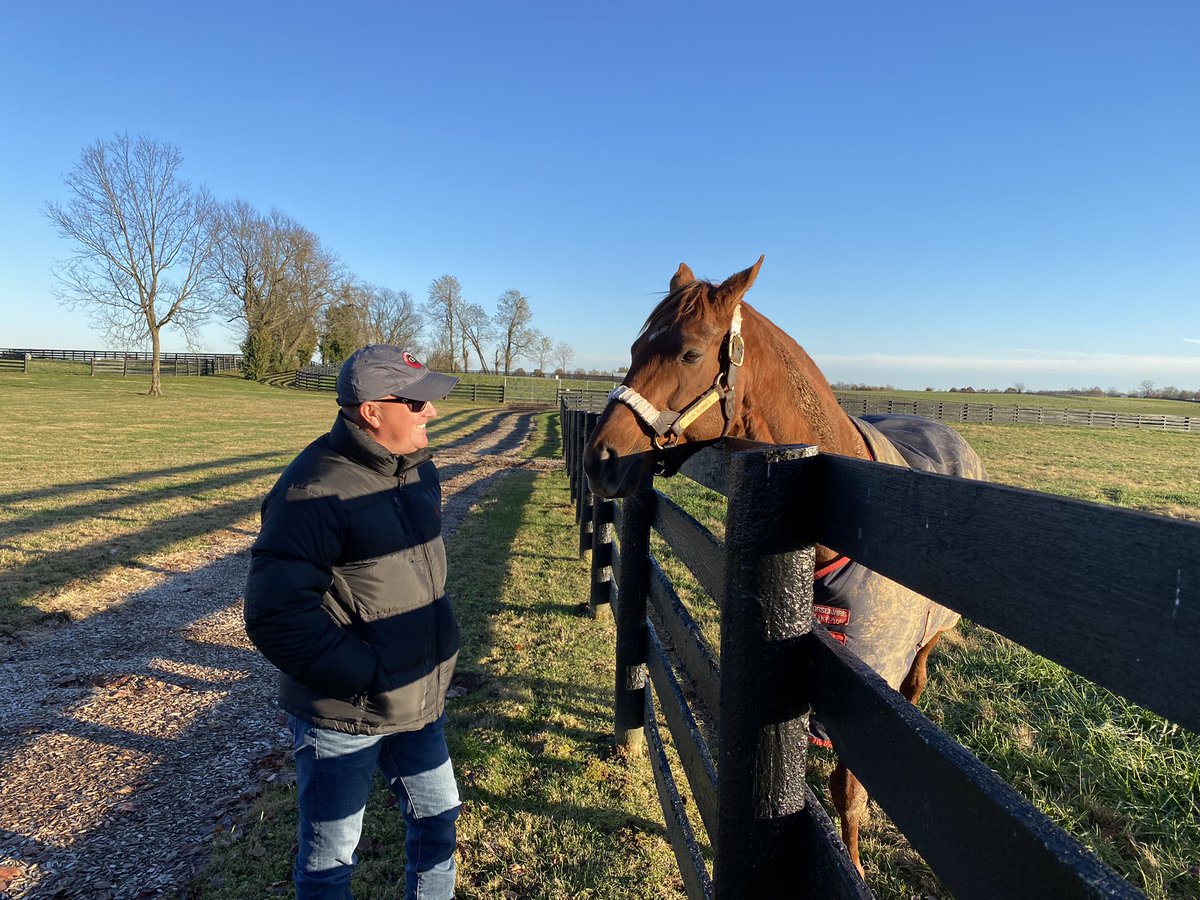 13thoroughbreds's tweet photo. Gun Runner had a visitor yesterday afternoon. Scott Blasi, who spent every single day with Gunny when he was racing, stopped by to visit his buddy. They were so happy to see each other. Gunny only tried to bite Scott twice ๐. Love nips of course. #GunRunner #ThreeChimneysFarm https://t.co/JZIsK6oegj
