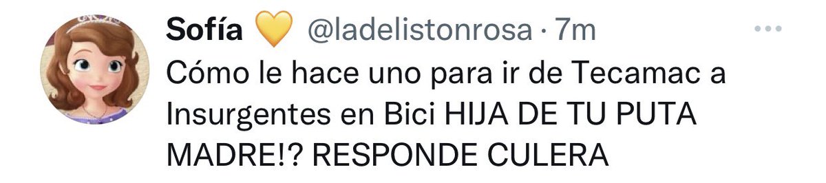 Bicireportera CDMX tweet media