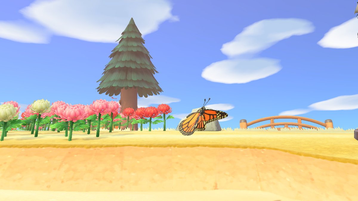 TheNebulaElk's tweet photo. A little animal crossing photography ^^ #AnimalCrossing #ACNH #NintendoSwitch #photography https://t.co/y99eTDOV12