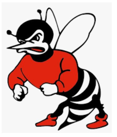 SoWestILHSSport's tweet photo. Cahokia Conference Fight Tonight
Freeburg Hornets
at Smithton Cougars
Boys JV (B) Varsity (A) 6pm
@Freeburg70 @SCCSD130 @FreeburgBBall #FutureMidgets https://t.co/VYanSbML0L
