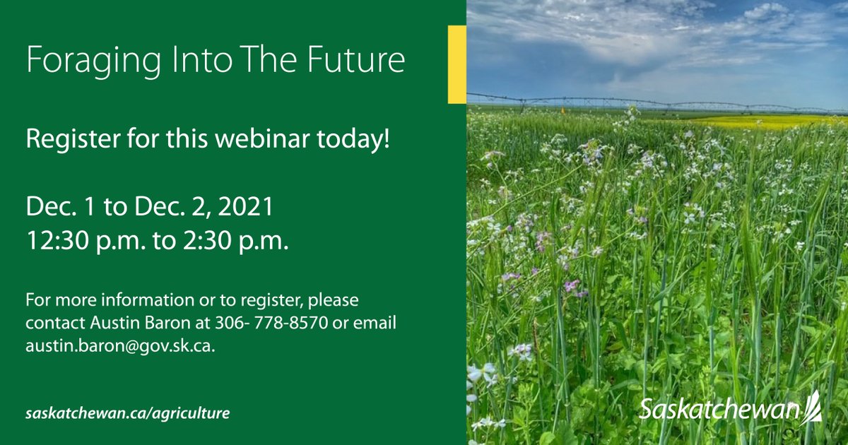 Join us for the Foraging into the Future Webinar series. Topics include developing new forages, role of diverse cover crops for beef cattle, what it means if your land is classified as federal critical habitat and forage rainfall insurance. Register today: applications.saskatchewan.ca/agrcalendar