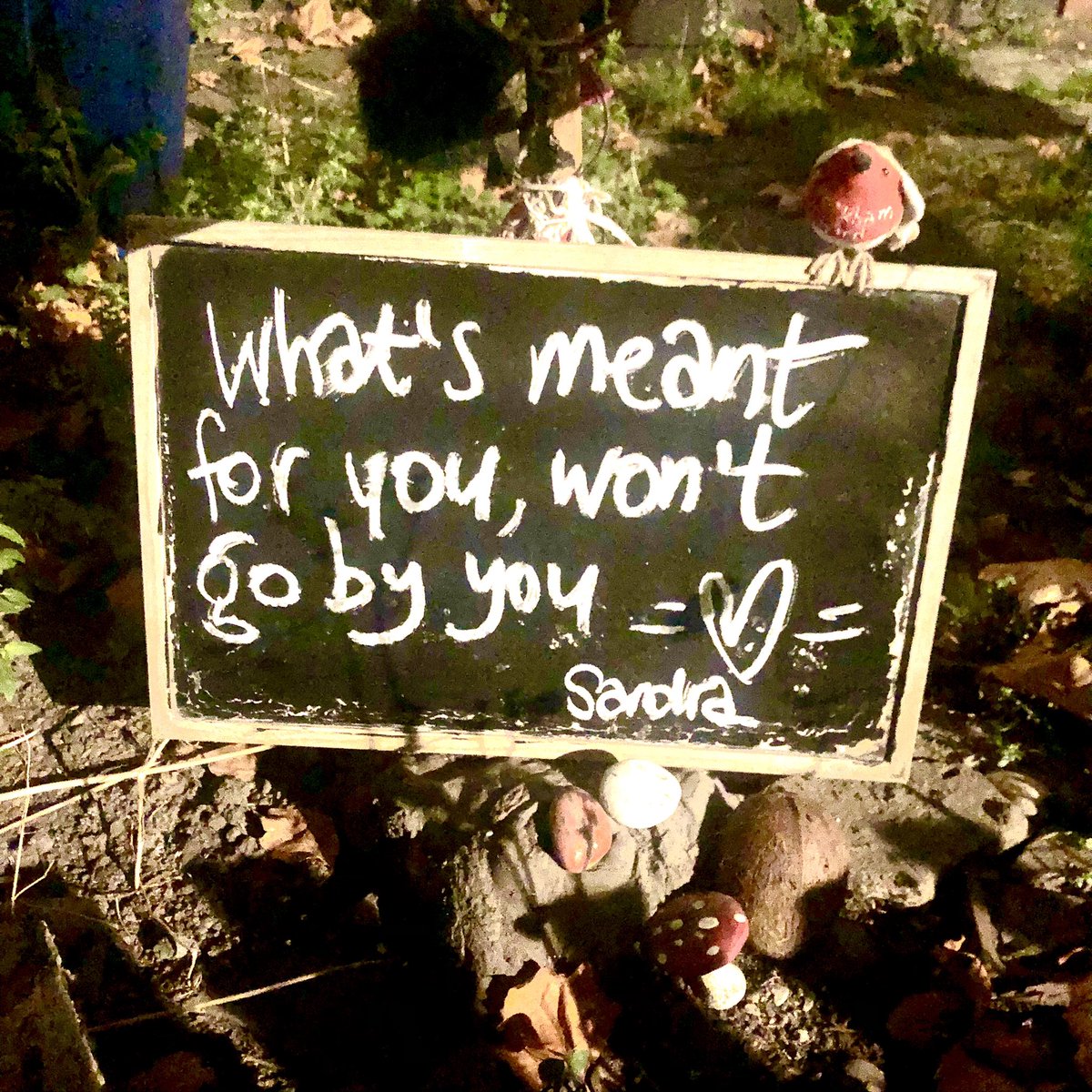 peckhambird's tweet image. #whatismeantforyou #willnotgobyyou  #beyou  #beyoutiful #kindness #wishing  #everyone #light #love #laughter and #joy in your dear #hearts 🌈❤️ #thankyou @thatmattyh #inspiration