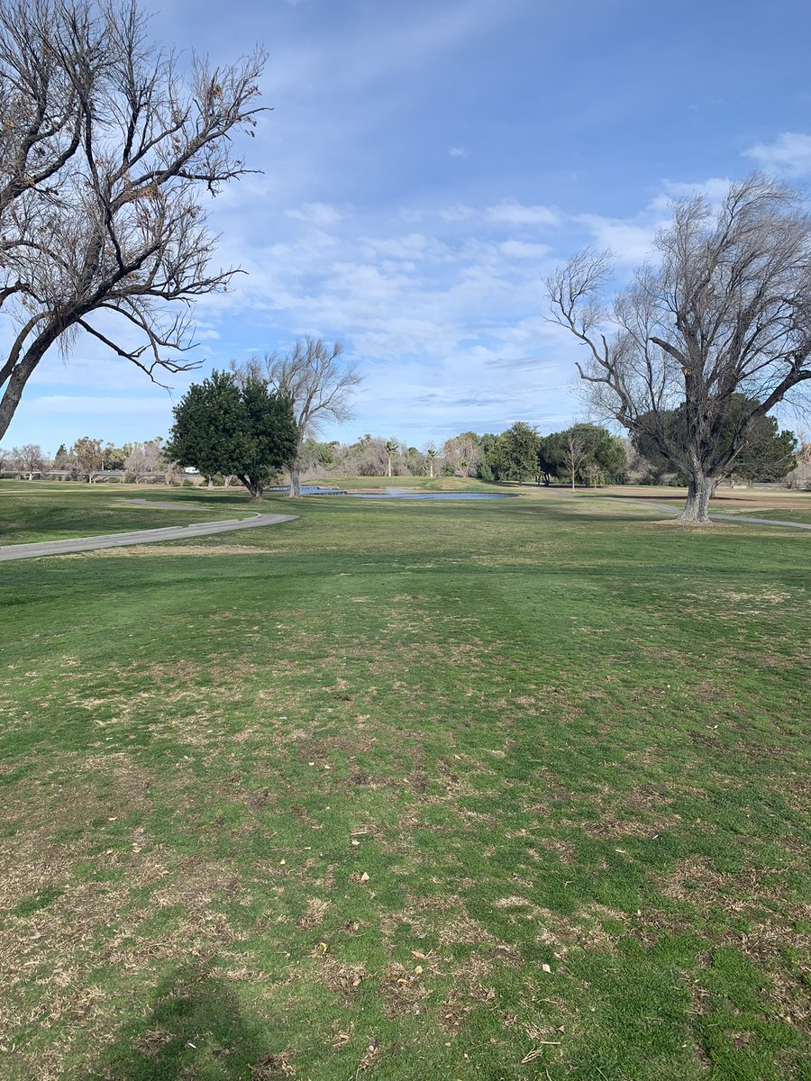 TDunlop07's tweet photo. ๐จComing: Late Tonight!#PGATOUR2K21
Tracy Golf & CC
#KillerCourse #RCR #RealLifeCourse
Lidar was used & GPS golf app to assist in mapping & planting accurately. I also took over 300 pictures on course to get the look & slopes correct
@18BirdiesApp @TracyGolf @PGATOUR2K @TGCTours https://t.co/GLpcE2m0a3