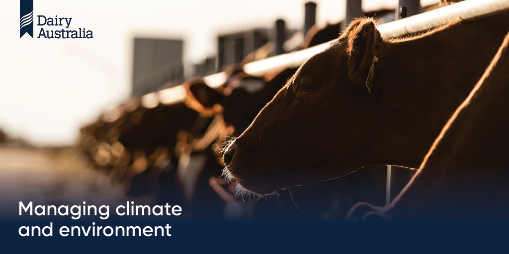 Want to know more about how Dairy Australia manages #climate &amp; #environment? We deliver initiatives for efficiency of major farm inputs such as water and energy &amp; support action on-farm to reduce greenhouse gas emissions: bit.ly/3lUhI9p

#sustainability #dairy #ausdairy