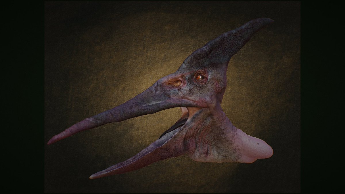 Tried to sculpt a Pteranodon head with <a href="/nomadsculpt/">Nomad</a>. Not skilled enough to add feathers.. 😂 #paleoart #dinosaurs  
Love the post process features!
