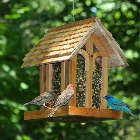 ILXLS_U2's tweet photo. This Thanksgiving, celibrate by...
FEEDING THE BIRDS! https://t.co/nsCXBYxcNp