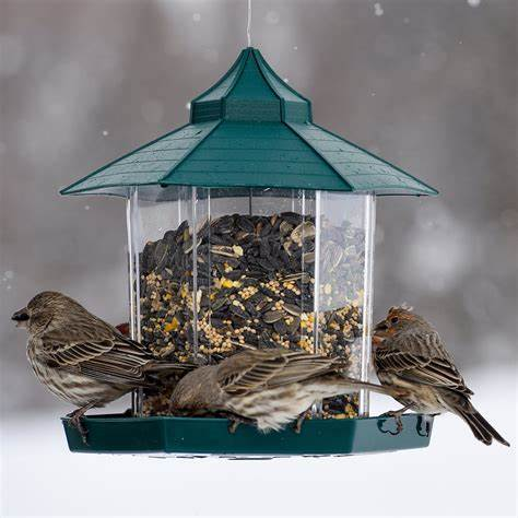 ILXLS_U2's tweet photo. This Thanksgiving, celibrate by...
FEEDING THE BIRDS! https://t.co/nsCXBYxcNp