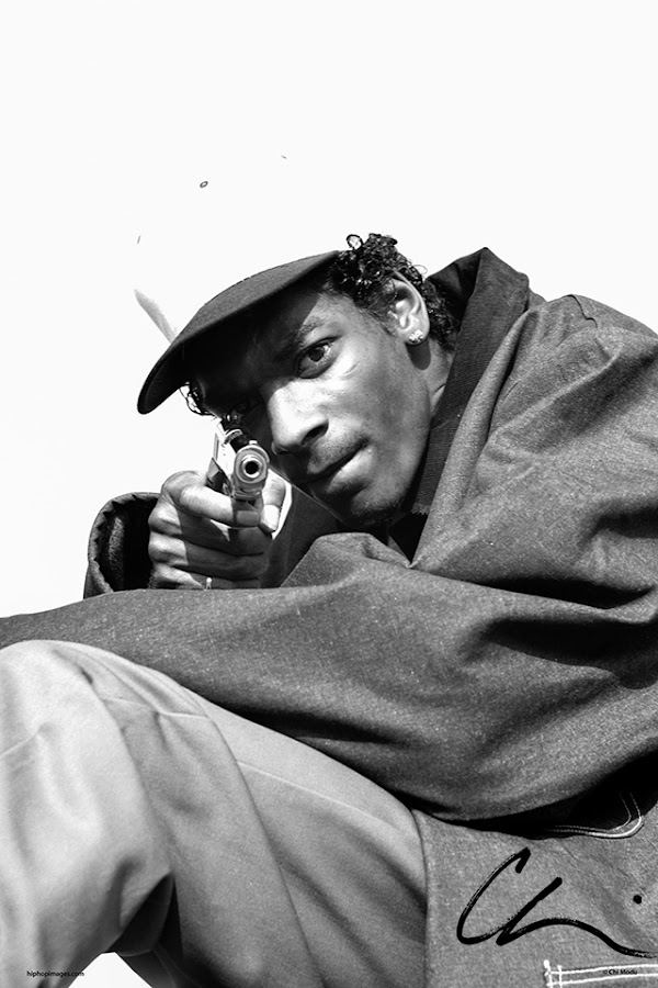 ForeverLands tweet media