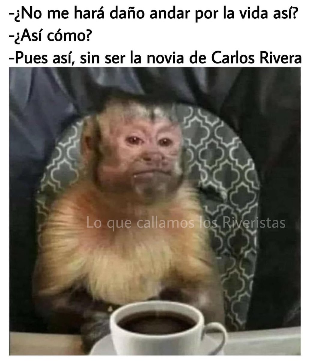 CarigueTAMAULI1's tweet photo. Pero aquí andamos sobrevivido sin ser tu novia @_CarlosRivera https://t.co/zPH4Z9FHWj