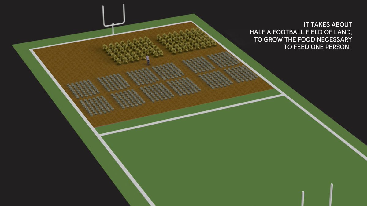 InfiniteAcres tweet media