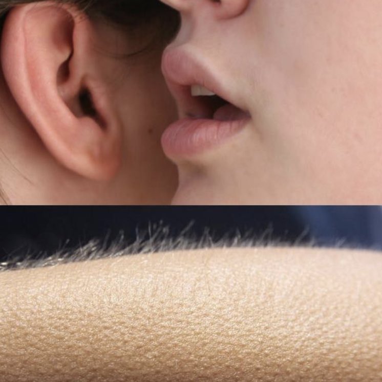 West Ham United tweet media