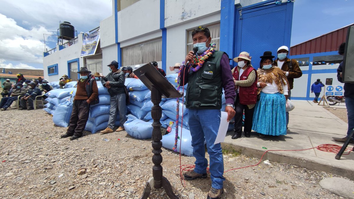 agroruralPER's tweet photo. #AgroRural trabajando por la ganadería

#Puno| #AgroRural entregó avena forrajera, alfalfa y dactyles a siete comunidades campesinas de esta región. #Surputanea #ElPrado #Cayachira #Lequeleque #Compuerta #IpokateCerillos #Caluta https://t.co/ZmU9MFA9Ai