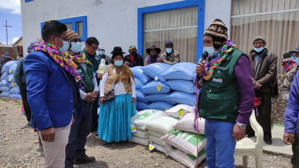 agroruralPER's tweet photo. #AgroRural trabajando por la ganadería

#Puno| #AgroRural entregó avena forrajera, alfalfa y dactyles a siete comunidades campesinas de esta región. #Surputanea #ElPrado #Cayachira #Lequeleque #Compuerta #IpokateCerillos #Caluta https://t.co/ZmU9MFA9Ai