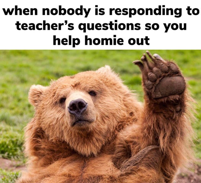 WholesomeMeme's tweet photo. https://t.co/jpW95xdmjy