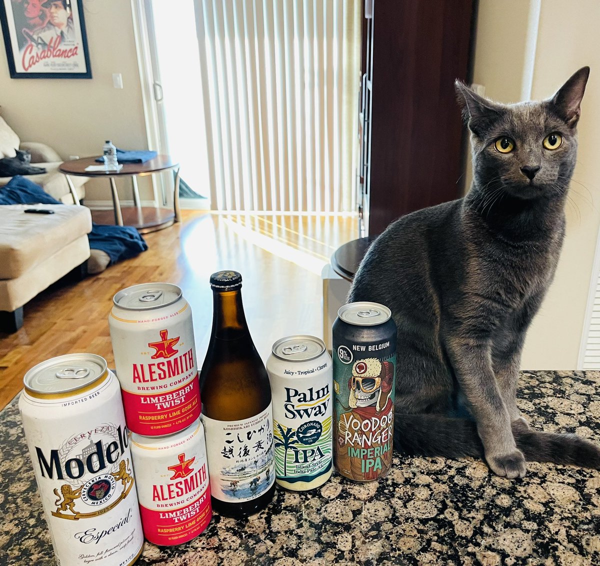 RJellyman's tweet photo. Welcome 11/23/2021 #TopBrewsTuesday Another week with no 10%. Iโve got one at 9%. The lineup includes Mexican ๐ฒ๐ฝ Lager, a Raspberry-Lime Gose, a Japanese ๐ฏ๐ตLager, an IPA, & an Imperial IPA. #Loki decided to join in on the fun #beercat @JonMontag @zappafaye @Senor_Greezy @dzyngrl https://t.co/lrRP4jgoov