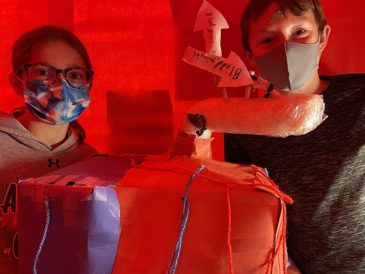 lens_school's tweet photo. Body systems presentation day! https://t.co/D2InDurbKP
