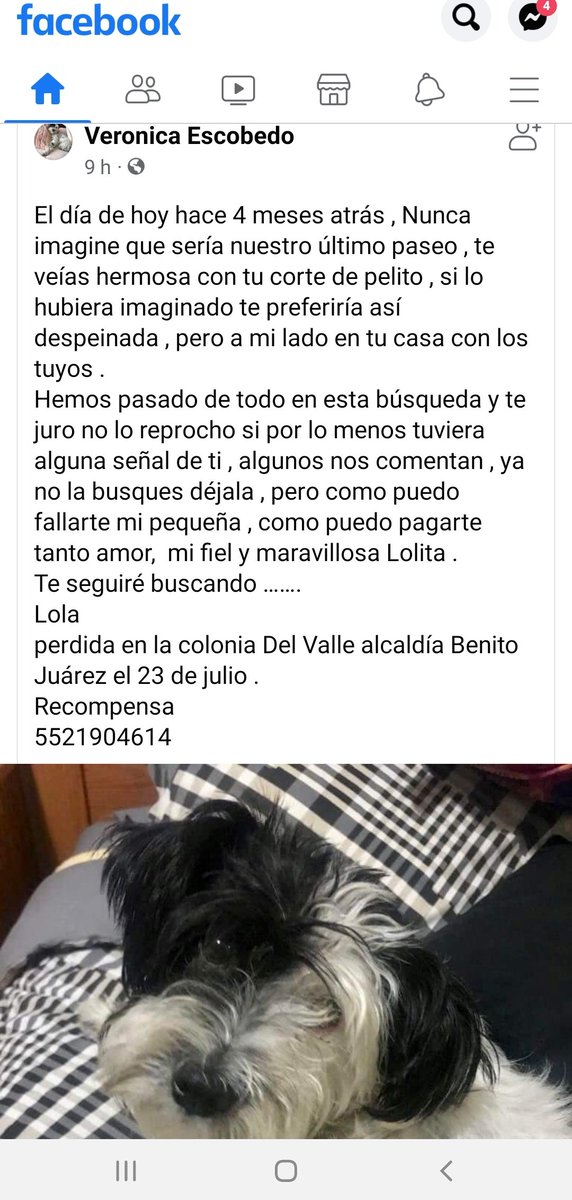 Lupita Mancera 🐿 tweet media