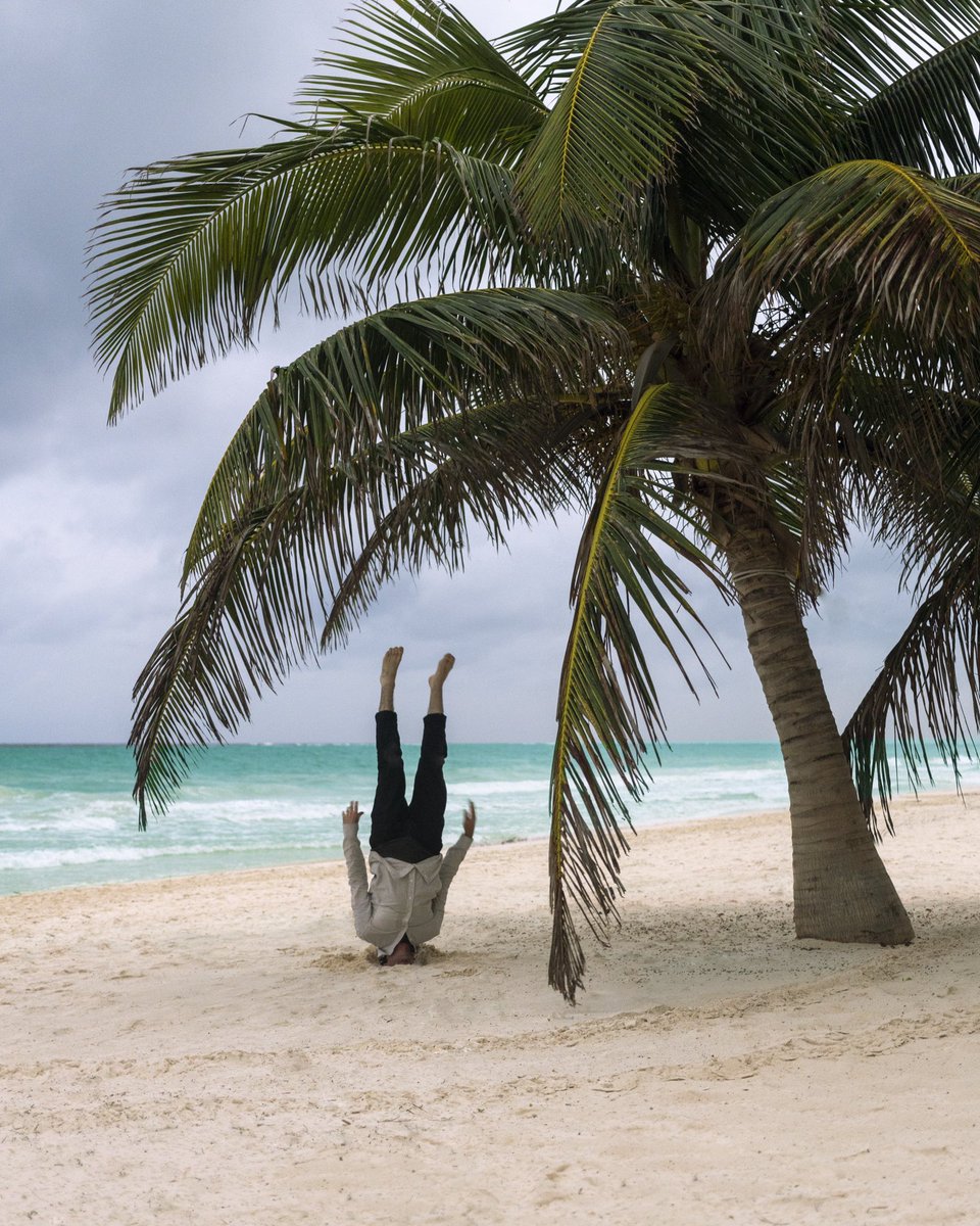 mikesbutt's tweet photo. One flew over the Coconut’s nest https://t.co/kiwhCHSWvl