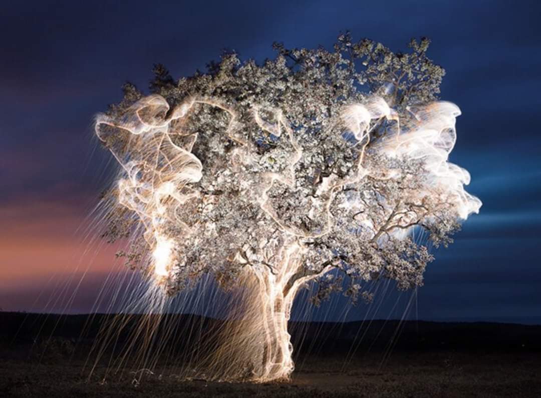 GaryFunkBroncos's tweet photo. I know a few people who need to see this, and I have ensured they done did! So, here's to the rest o' ye!
Fireflies on a time lapse (prolonged exposure).
#ThisPlaceIsCool
#Earth https://t.co/WxTbLFJB3y