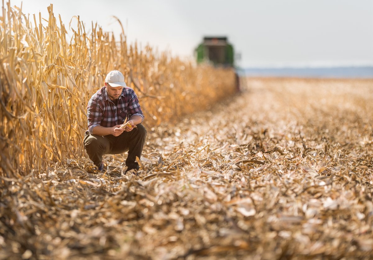Learn more about how you can take control of your nitrogen supply with #Envita. More details in our latest newsletter: bit.ly/Azotic-na-news

#agronomy #AgriTech