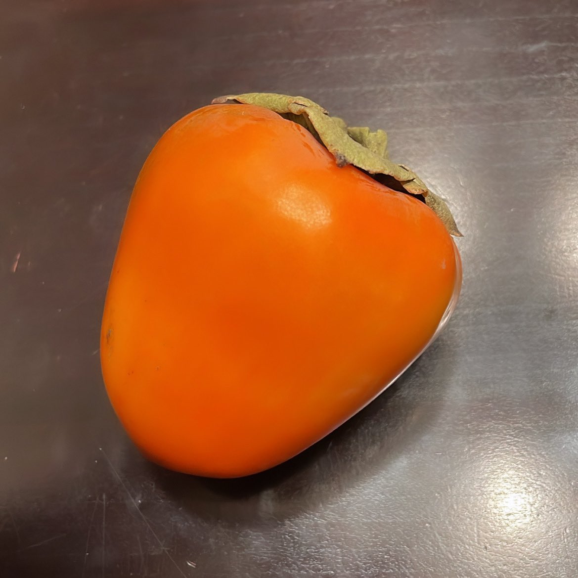 julianaVmiller's tweet image. i found the real life FL