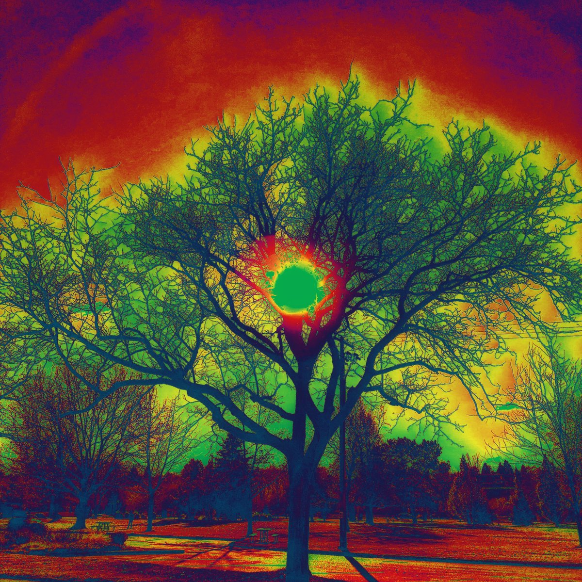 RiffHaven's tweet photo. Riff Häven 253 airs tonight from 9-11 PM on @radioboise with music from #Earthless #Failure #WizardTree #SnakeMountainRevivial #Fostermother #BookofWyrms #Boris &amp; more

#RiffHaven #RadioBoise #PostRock #Shoegaze #StonerRock #HeavyRock #FuzzRock #HeavyPsych #HeavyBlues #HeavyMetal https://t.co/edUhzpDWLV