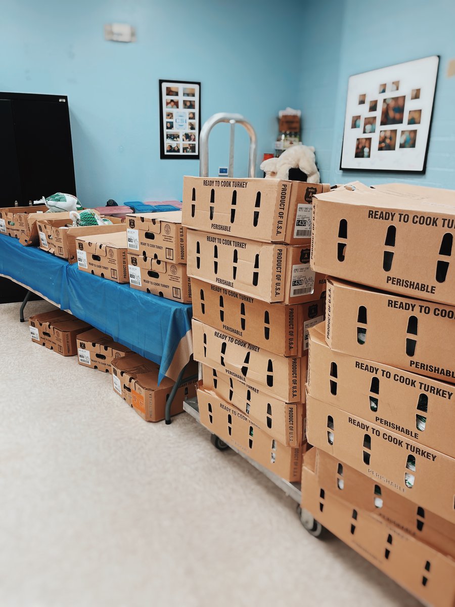 Lynette Zang tweet media