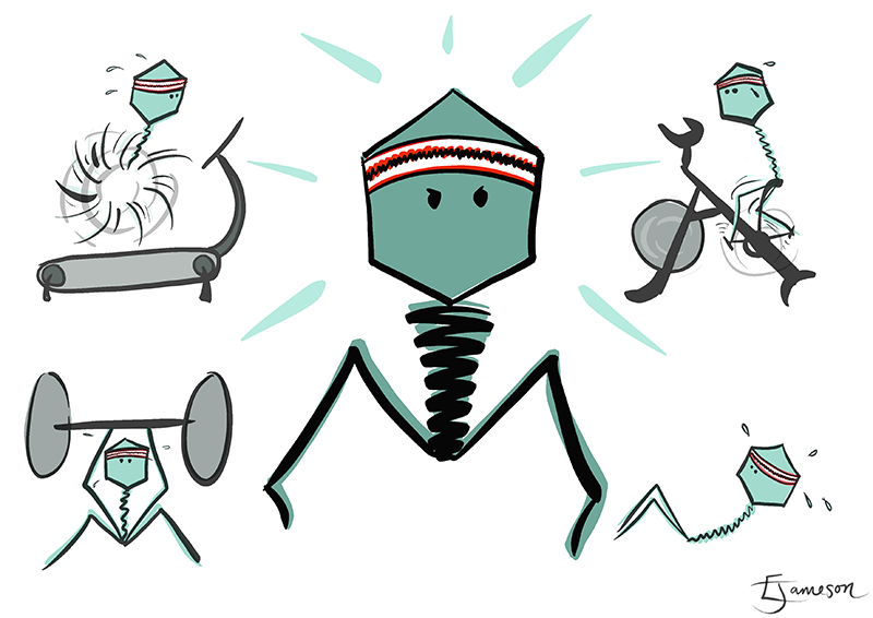 CentreImpactAMR's tweet photo. We collect Phage from natural environments in collaboration with Traditional Owners. Some are ready to defeat an MDR infection and others.. well the pic from @Ellie__Jameson says it all #WAAW #WAAW2021 #ImpactAMR #AMRcomm #SciComm #Phagetherapy https://t.co/Tppu2lz57f