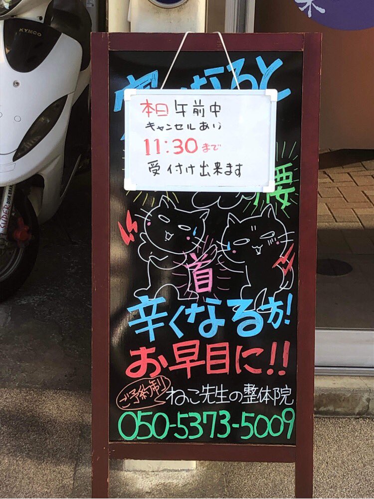 ねこ先生の整体院 Nekosensei39 Twitter