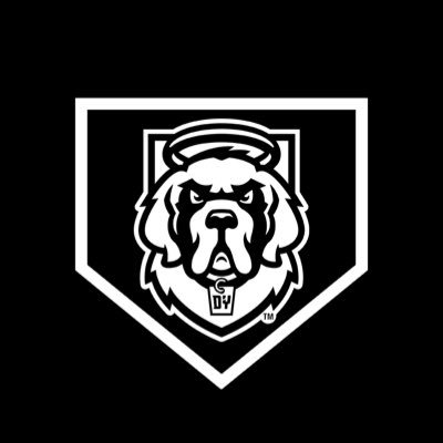 HunterNowak04's tweet photo. I am excited to announce my commitment to continue my academic and athletic career at D'Youville College! Thank you to my family, teammates, and coaches who have helped me along the way. @DYouville_BSB @SFRRBase @WSWarriorsSC20 @WNYTomPrince https://t.co/ZbNU2g3pqm