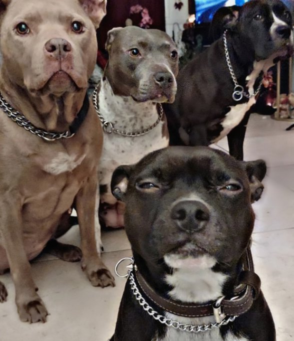 Missed my squad https://t.co/nJ03B1F6YA