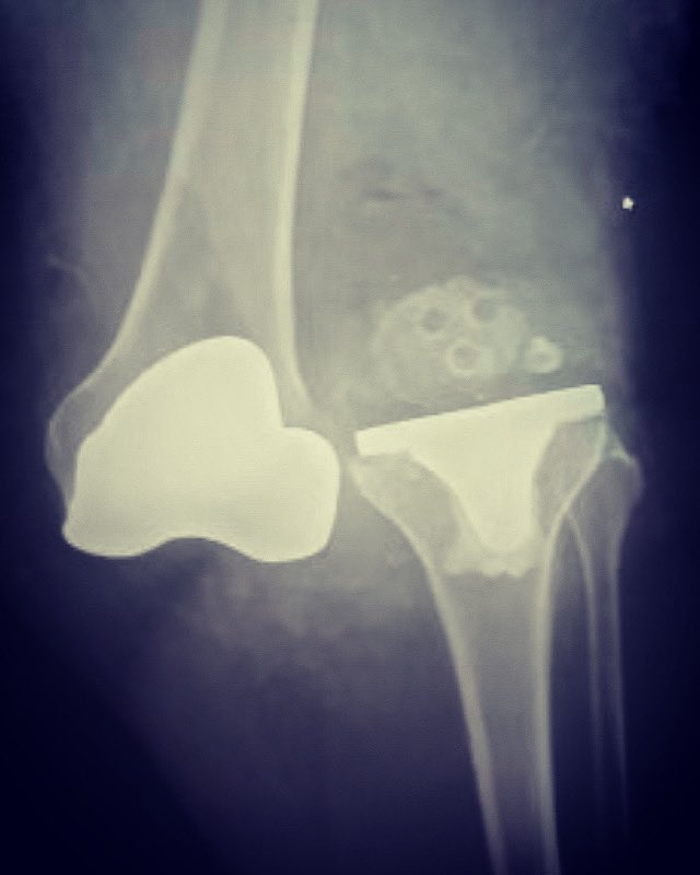 disasterplasty tweet media