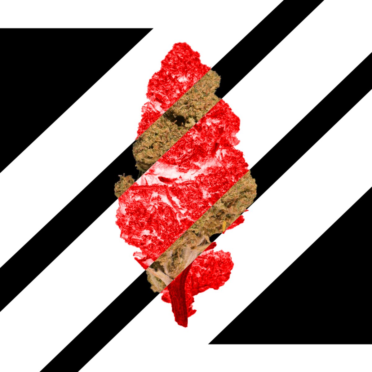 CannaCrypts tweet media