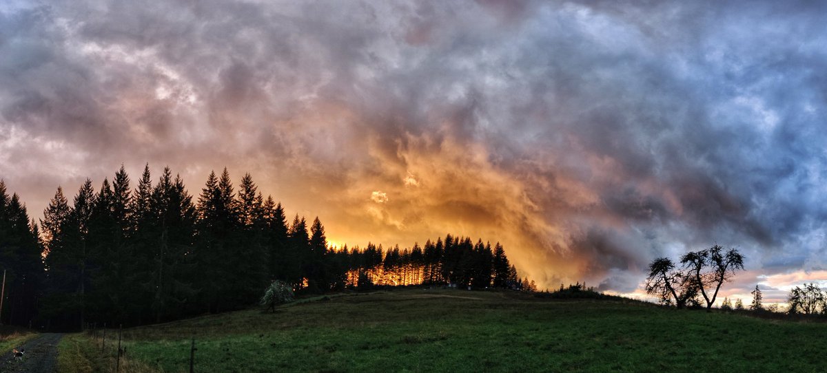 sed's tweet photo. Seen during Sequoia's distance-learning PE class (a timed 3 mile run) #sunset #landscape #pasture #appletrees #rescuedogs #cloudscape #loghome #running #runninglaps #sundown #beavercreekoregon https://t.co/LIbA5q3xNp