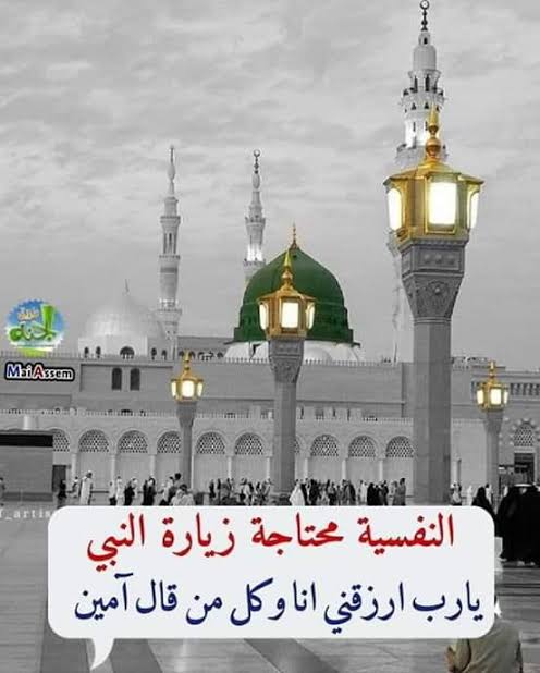 Adham Mohamed tweet media