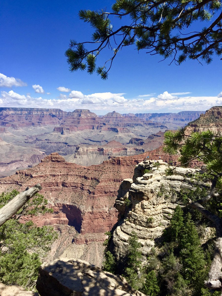 ExtremeRVing's tweet photo. @GrandCanyonNPS What a great view to end my birthday on! So beautiful there 🥰 #ExploreOurNation #leaveordinarybehind #rvlife https://t.co/r9cBnWSVjX