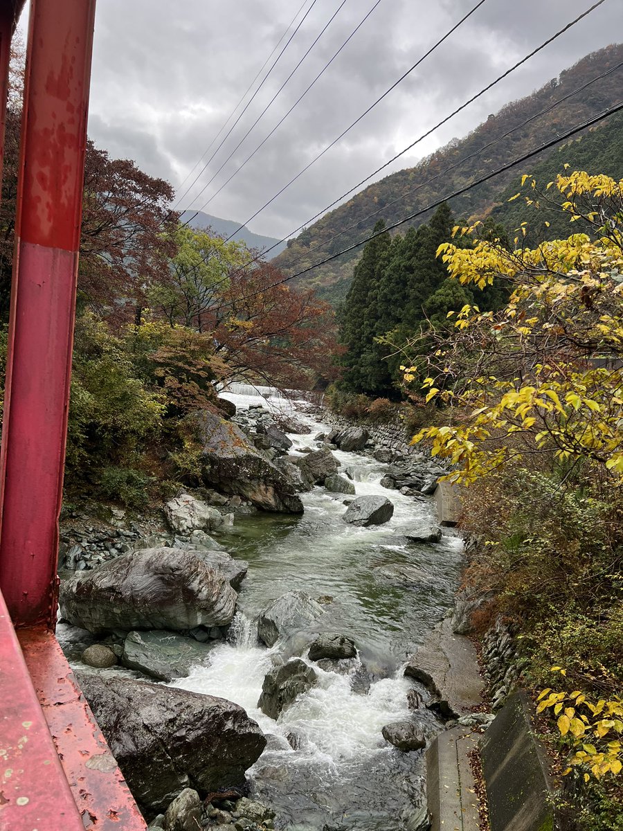 Kaz_168y's tweet photo. #雨の中の紅葉
#13iPhone https://t.co/698LUOg1zP