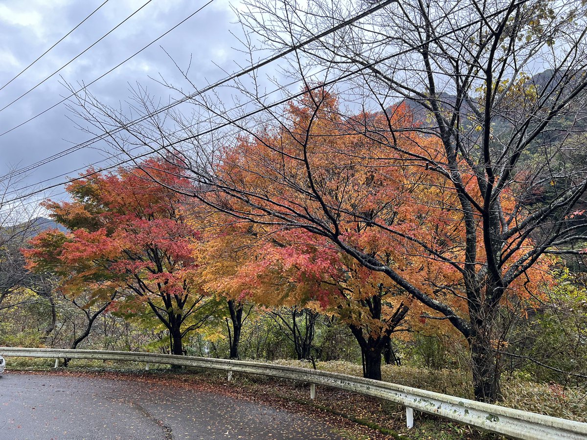 Kaz_168y's tweet photo. #雨の中の紅葉
#13iPhone https://t.co/698LUOg1zP