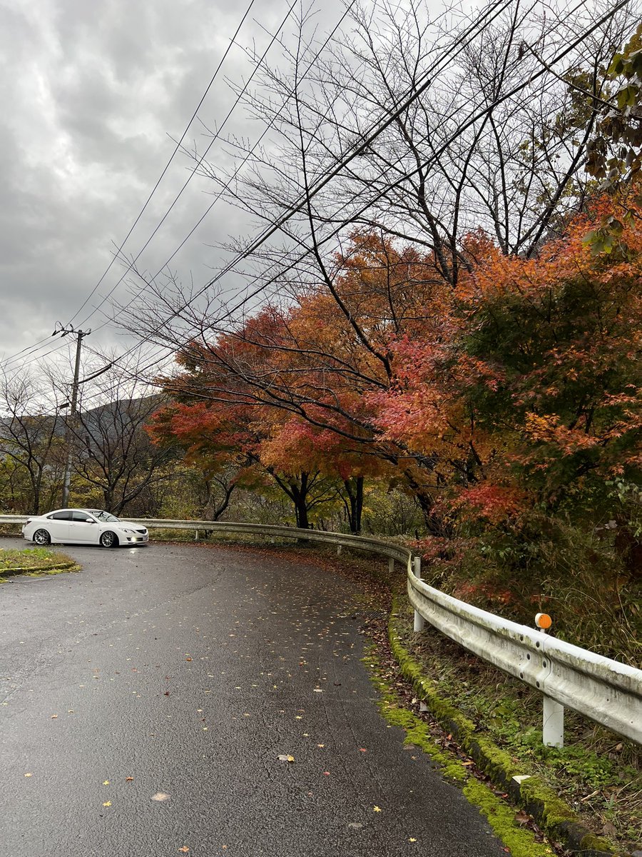 Kaz_168y's tweet photo. #雨の中の紅葉
#13iPhone https://t.co/698LUOg1zP